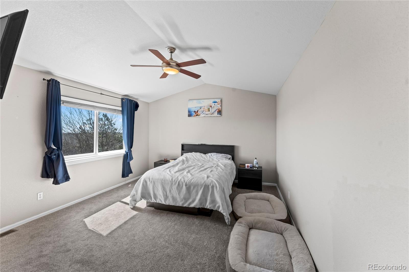 MLS Image #33 for 5889  huerfano drive,colorado springs, Colorado
