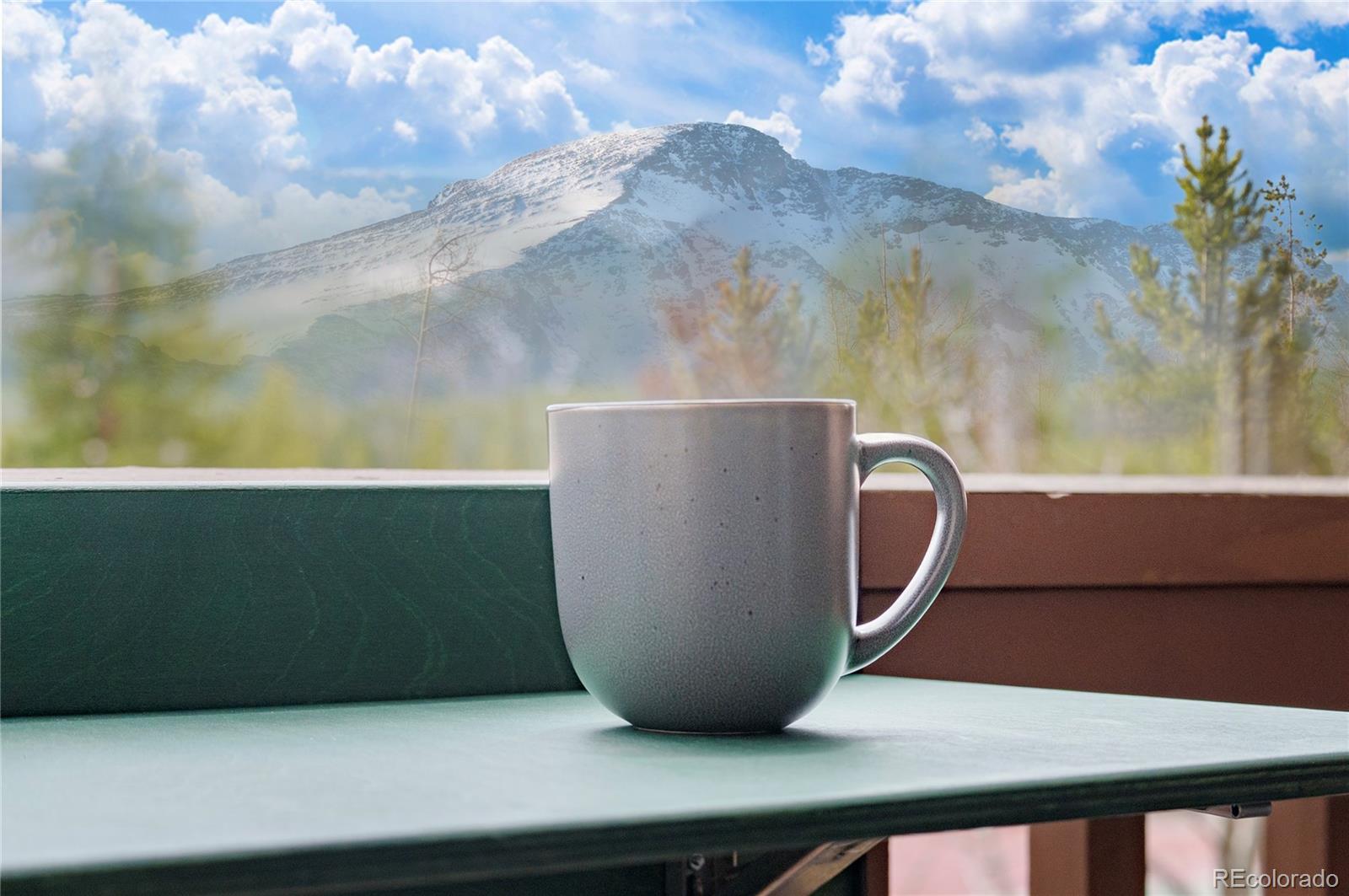 MLS Image #1 for 145  forest trail,winter park, Colorado