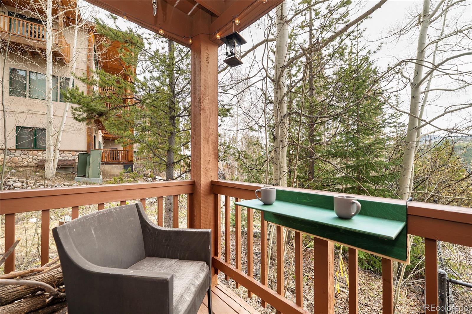 MLS Image #17 for 145  forest trail,winter park, Colorado