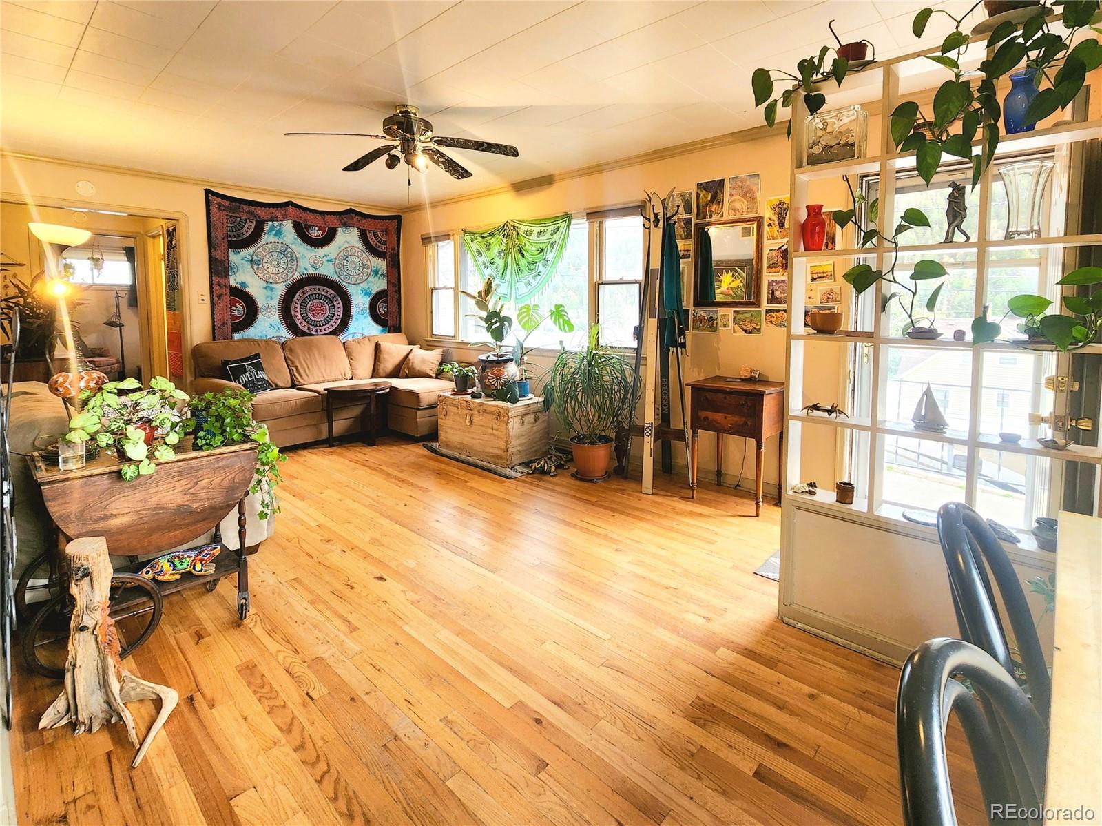 MLS Image #15 for 310  virginia street,idaho springs, Colorado