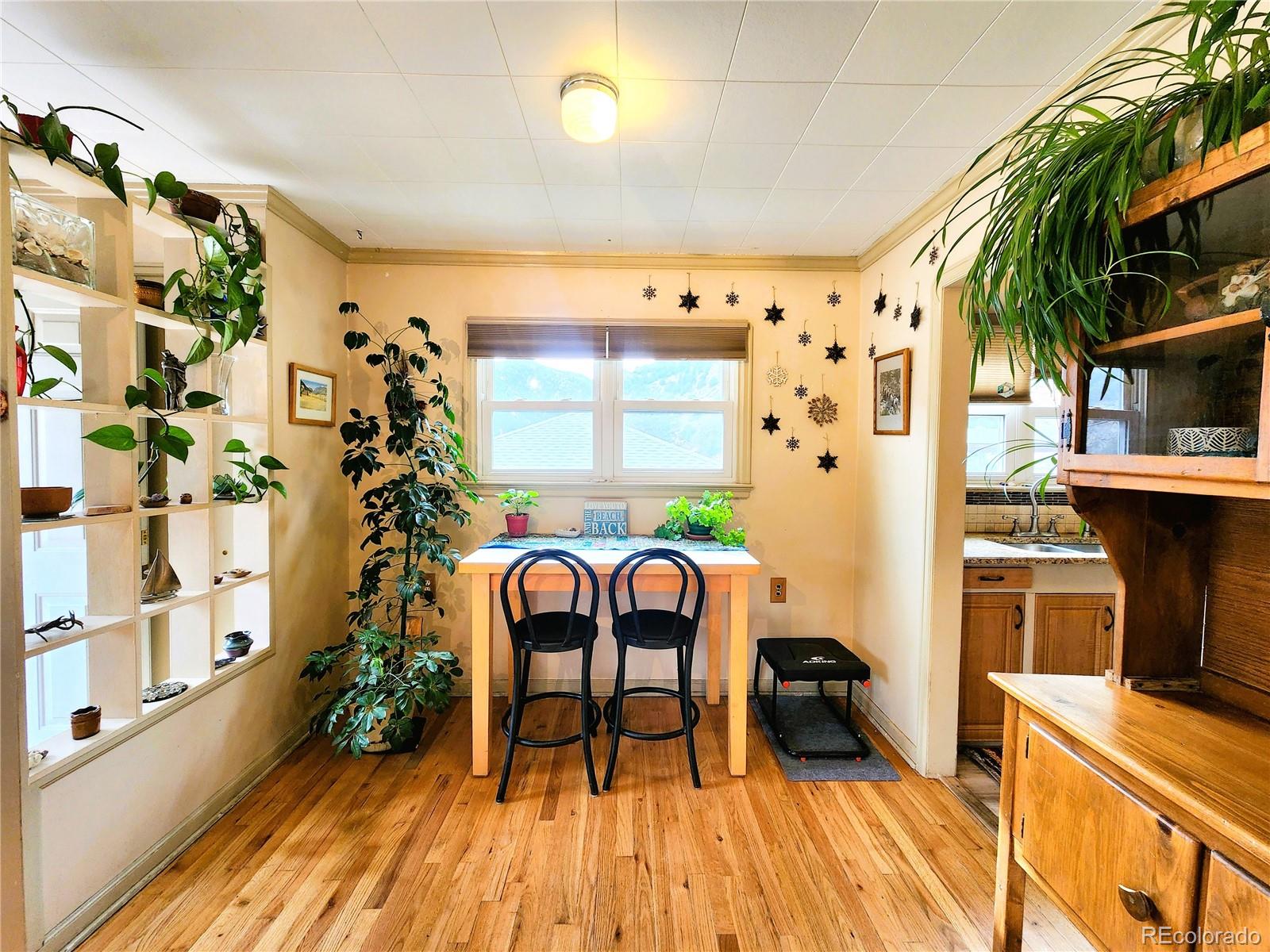MLS Image #16 for 310  virginia street,idaho springs, Colorado