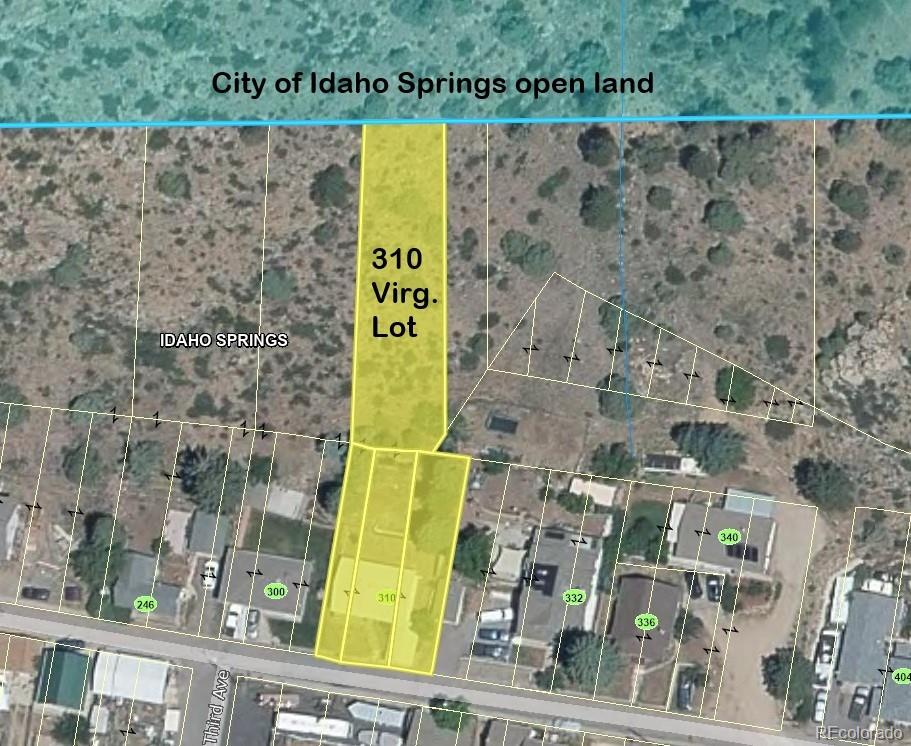 MLS Image #29 for 310  virginia street,idaho springs, Colorado
