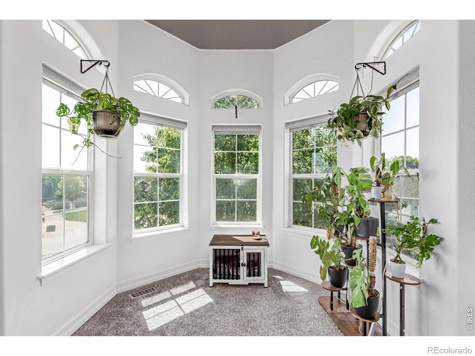 MLS Image #17 for 1451  red fox circle,severance, Colorado