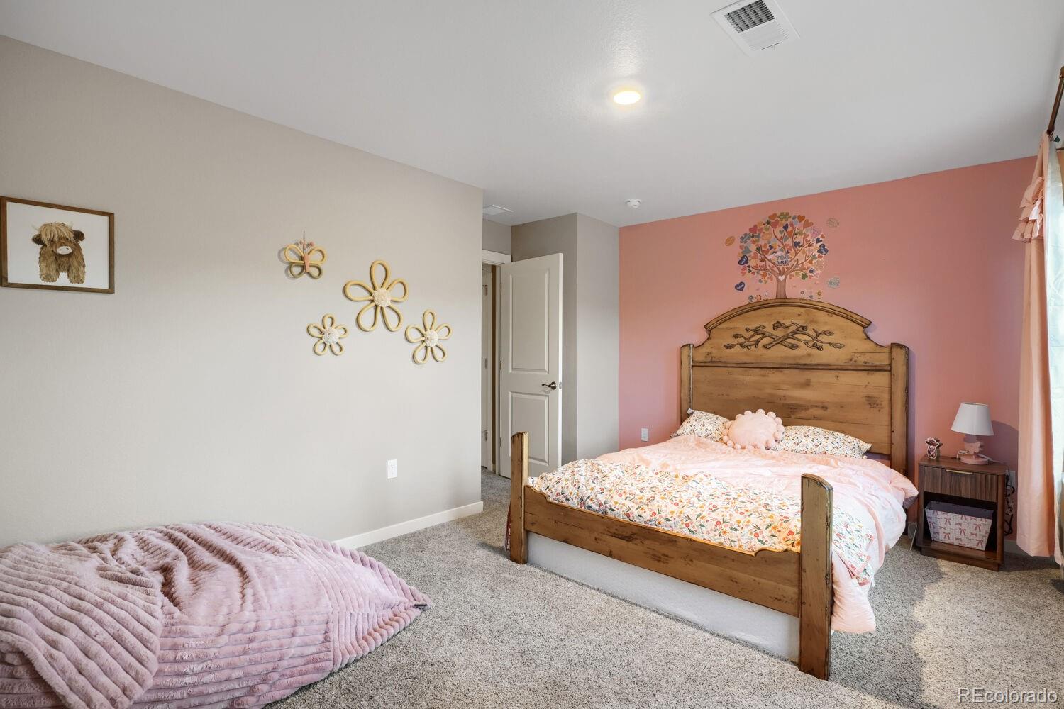 MLS Image #13 for 17311  rose mallow street,parker, Colorado