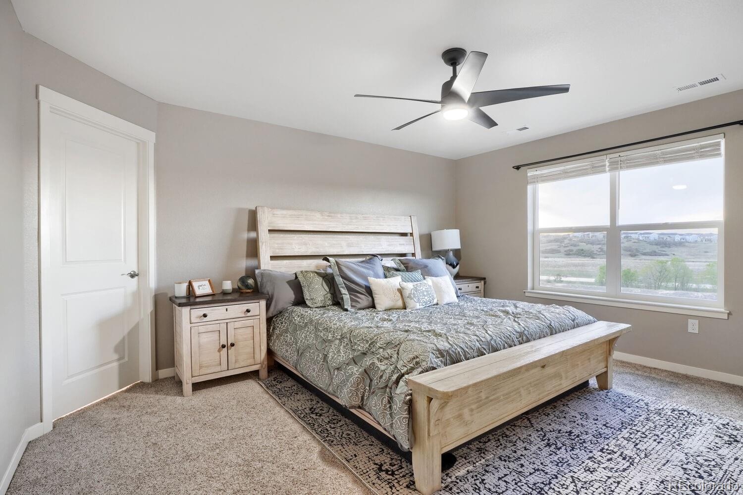 MLS Image #14 for 17311  rose mallow street,parker, Colorado