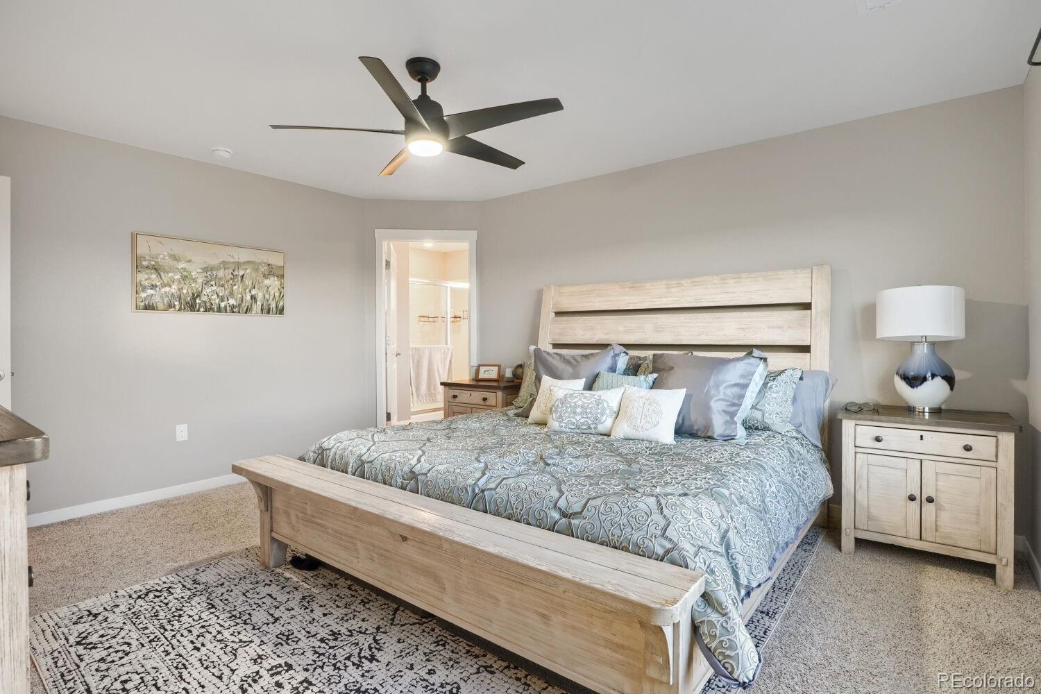 MLS Image #15 for 17311  rose mallow street,parker, Colorado