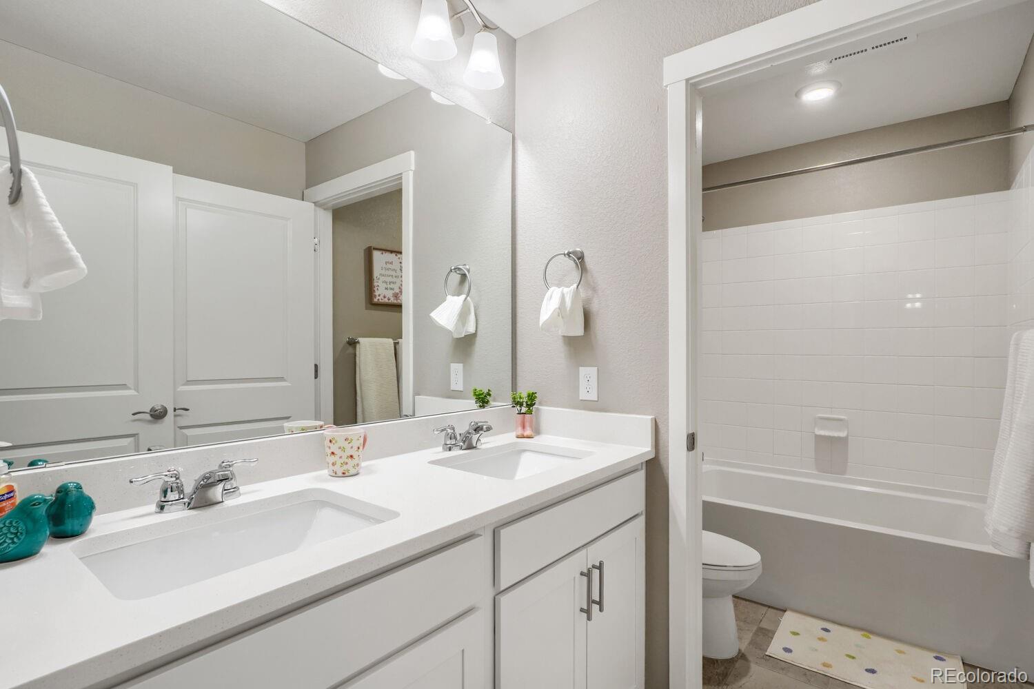 MLS Image #21 for 17311  rose mallow street,parker, Colorado