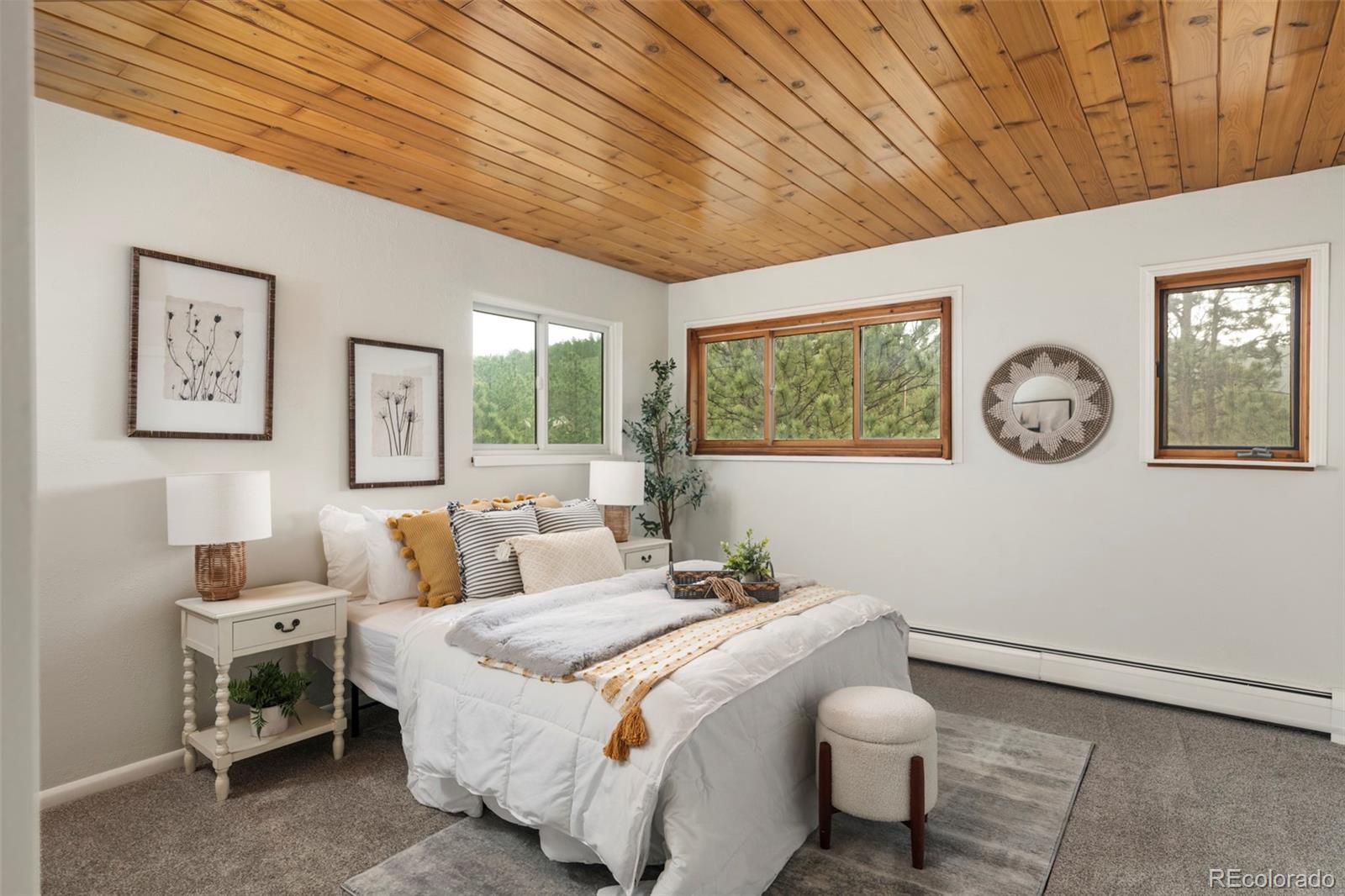 MLS Image #10 for 25193 n turkey creek road,evergreen, Colorado