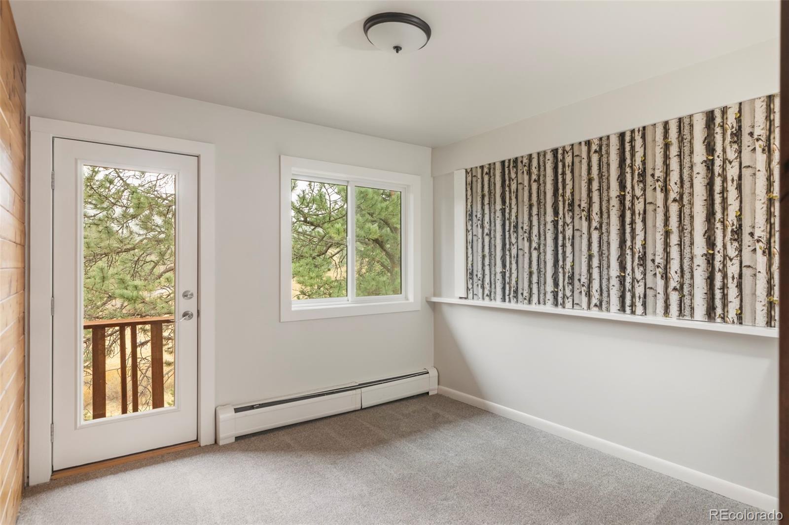 MLS Image #12 for 25193 n turkey creek road,evergreen, Colorado