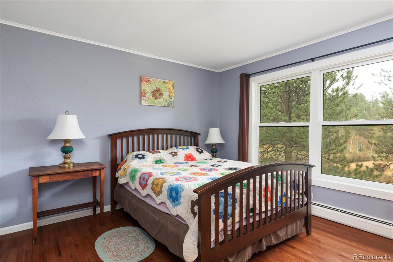 MLS Image #21 for 25193 n turkey creek road,evergreen, Colorado