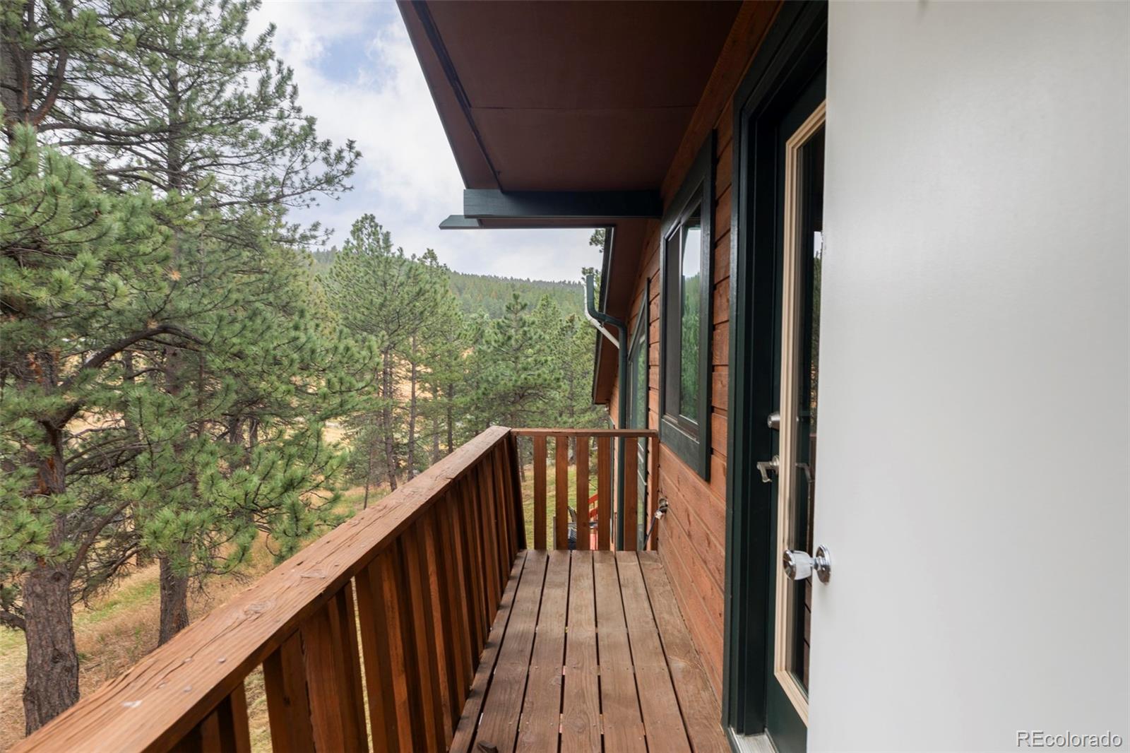 MLS Image #28 for 25193 n turkey creek road,evergreen, Colorado