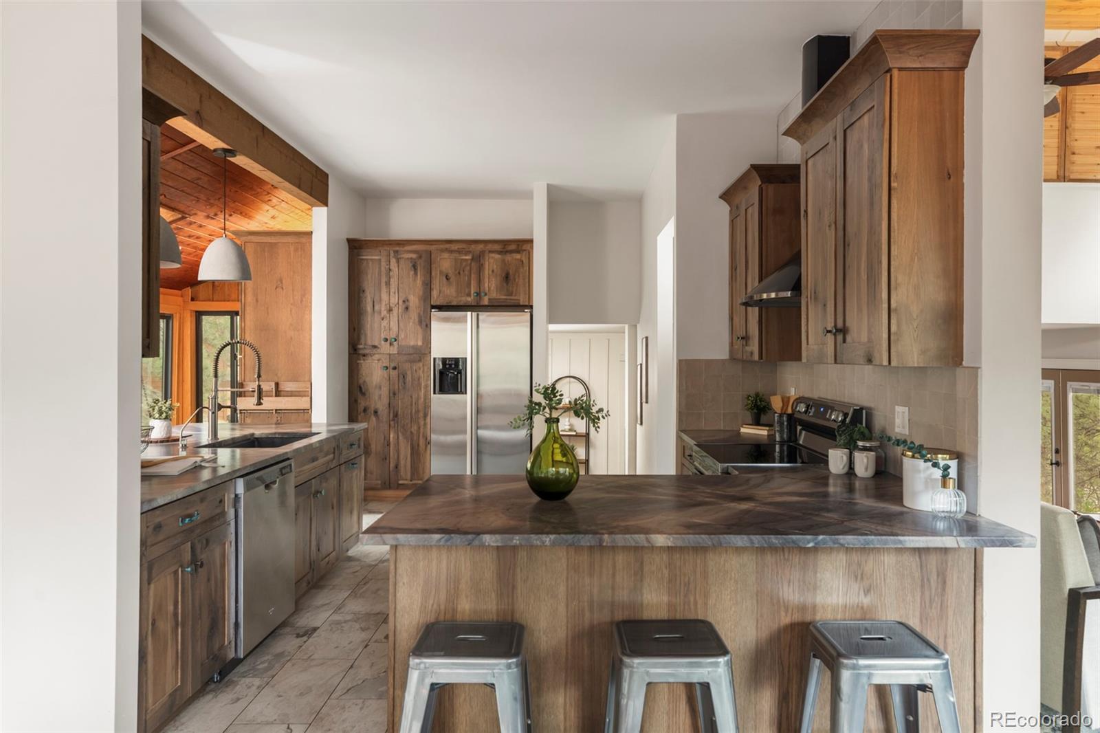 MLS Image #3 for 25193 n turkey creek road,evergreen, Colorado