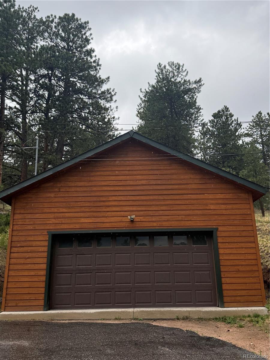 MLS Image #33 for 25193 n turkey creek road,evergreen, Colorado