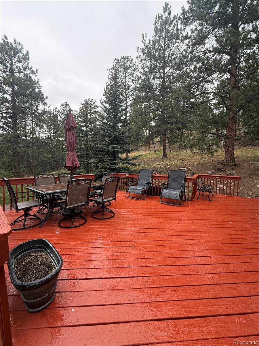 MLS Image #37 for 25193 n turkey creek road,evergreen, Colorado