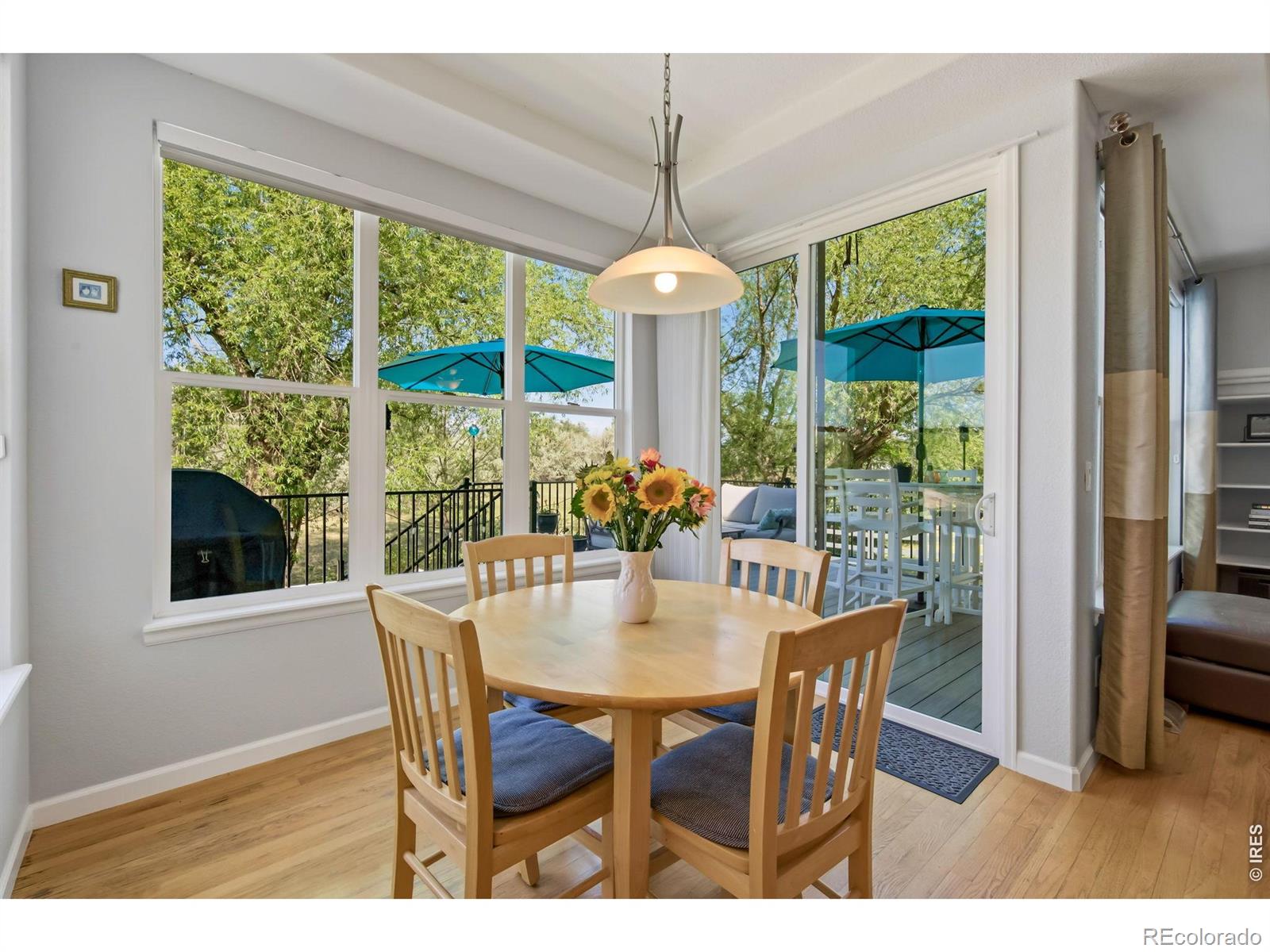 MLS Image #7 for 643  teal circle,longmont, Colorado