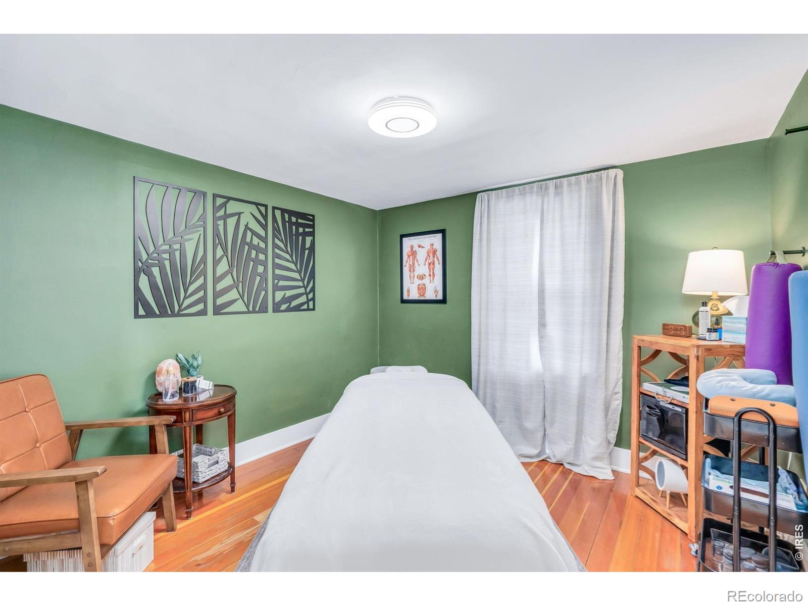 MLS Image #13 for 745  jackson court,windsor, Colorado