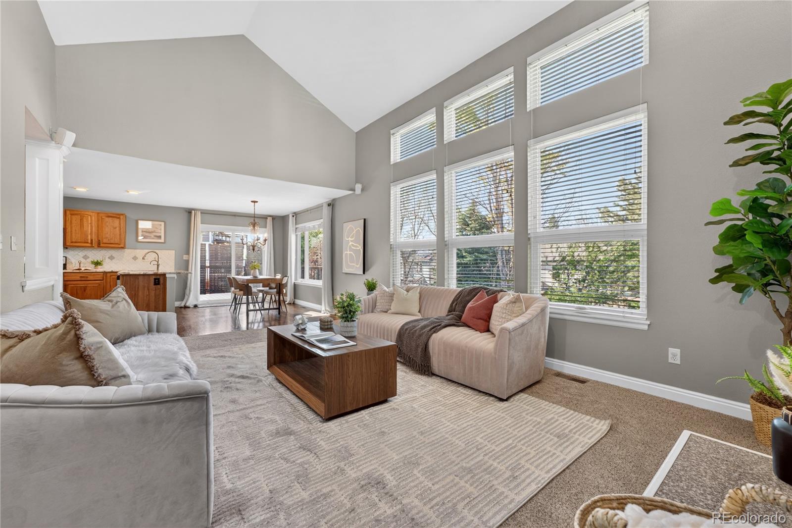 MLS Image #15 for 1774  spring water place,highlands ranch, Colorado