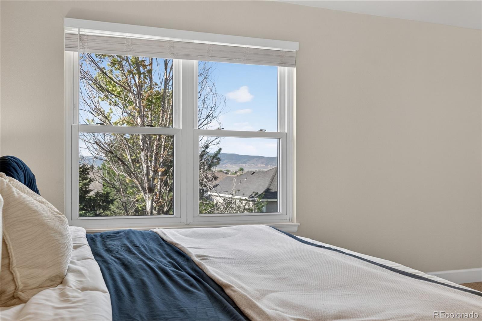 MLS Image #20 for 1774  spring water place,highlands ranch, Colorado