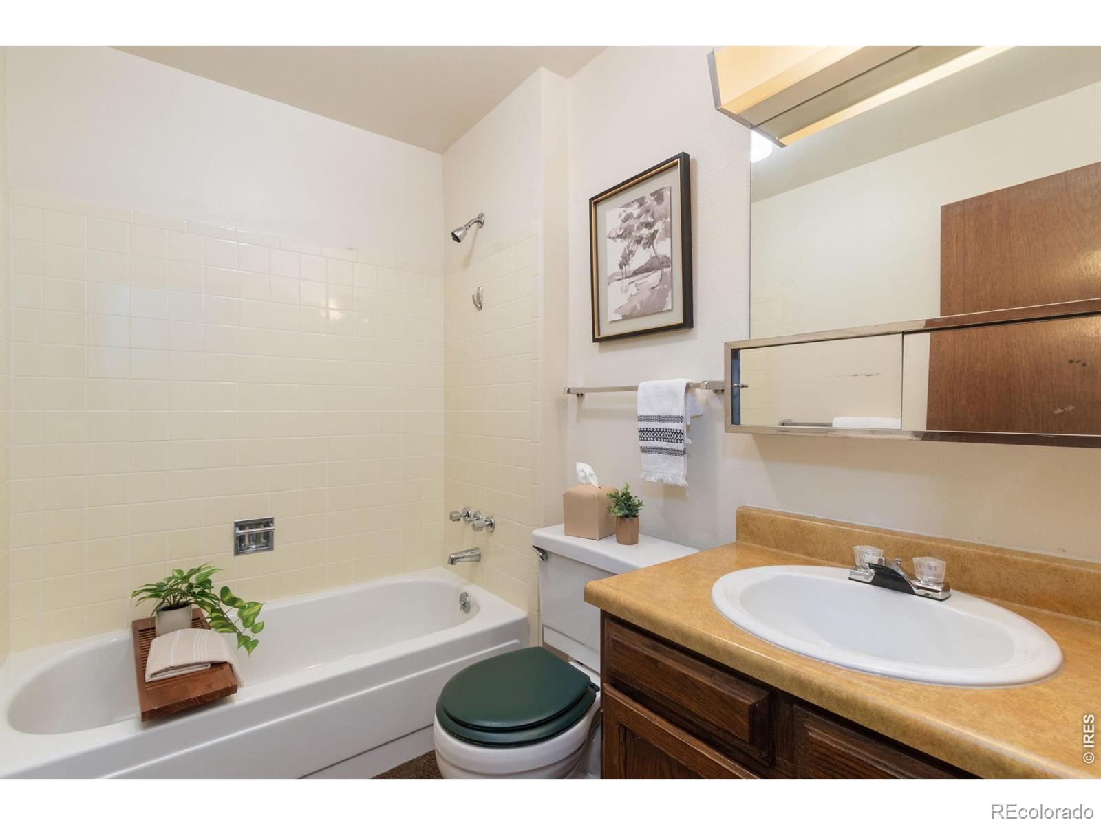 MLS Image #21 for 3967  ash avenue,loveland, Colorado