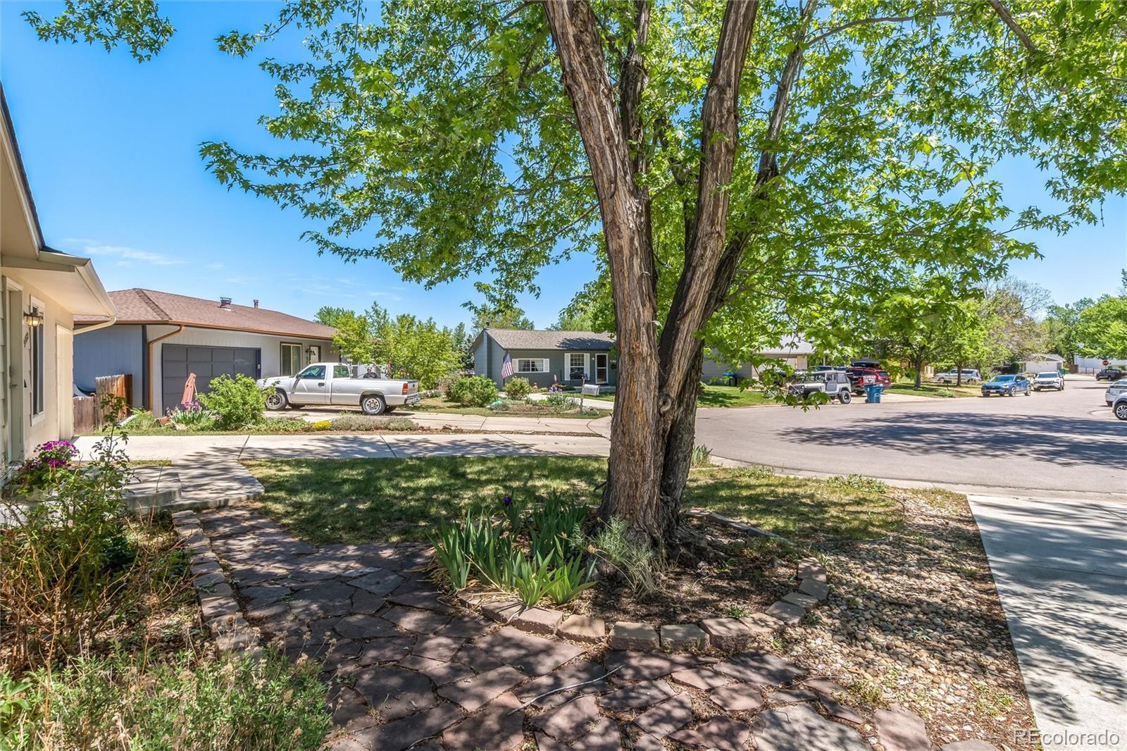 MLS Image #4 for 9609 w eureka place,lakewood, Colorado