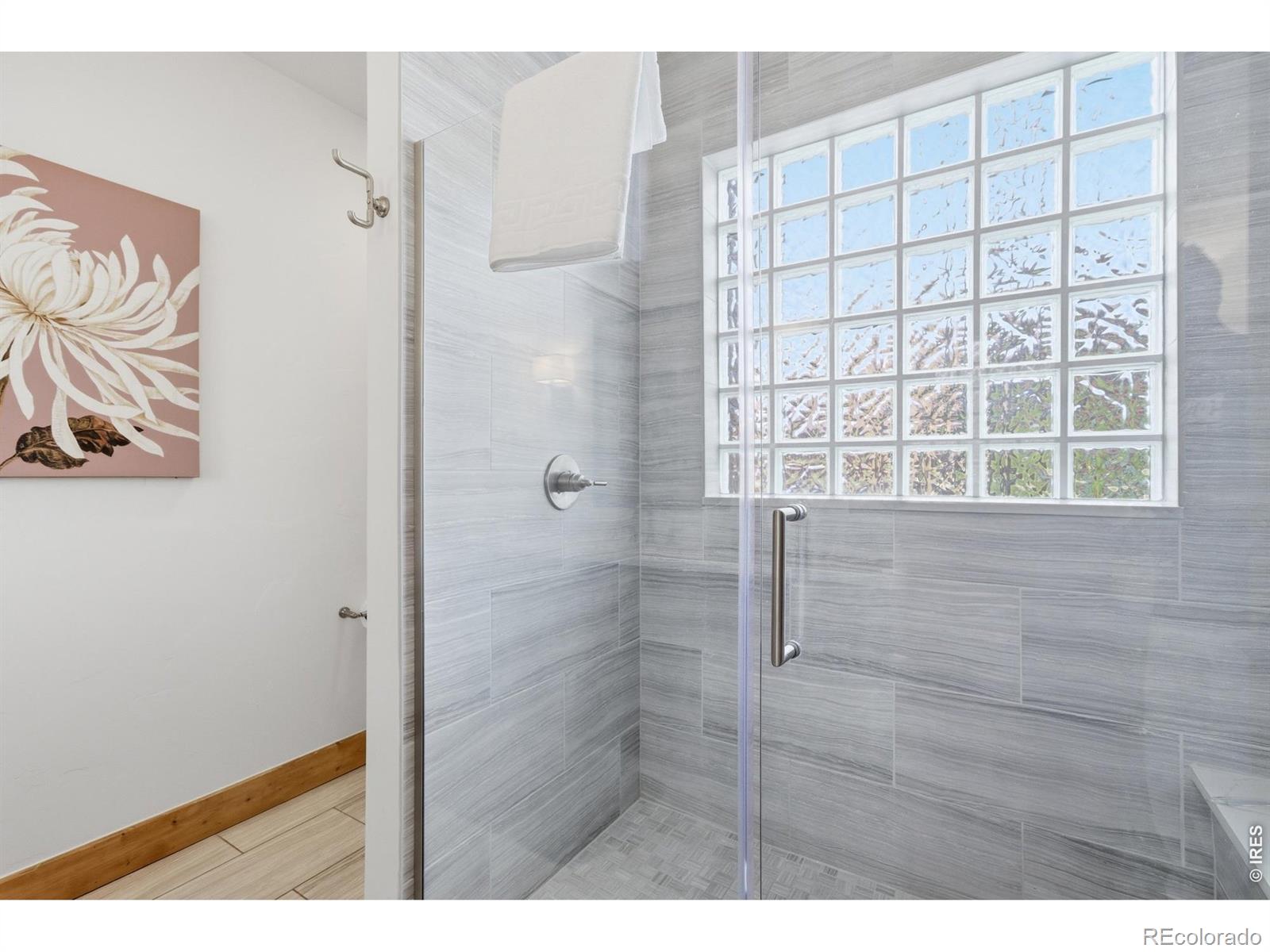 MLS Image #10 for 590  water dance drive,frisco, Colorado