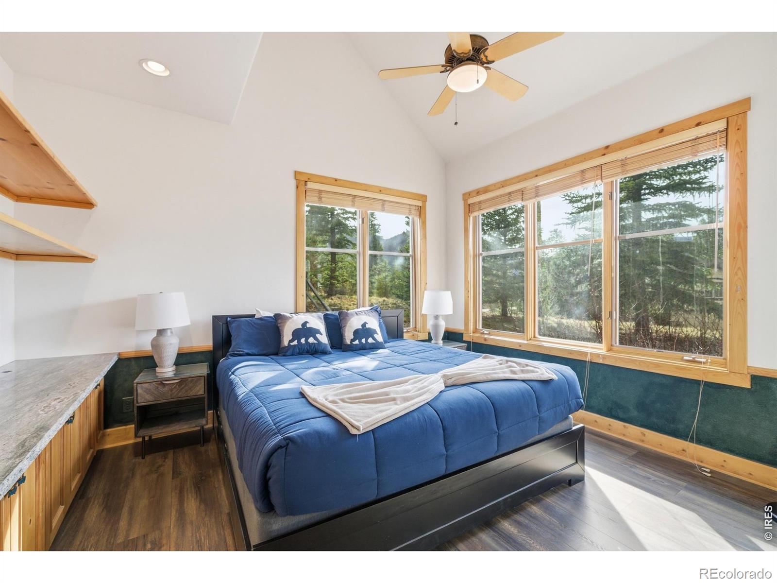 MLS Image #19 for 590  water dance drive,frisco, Colorado