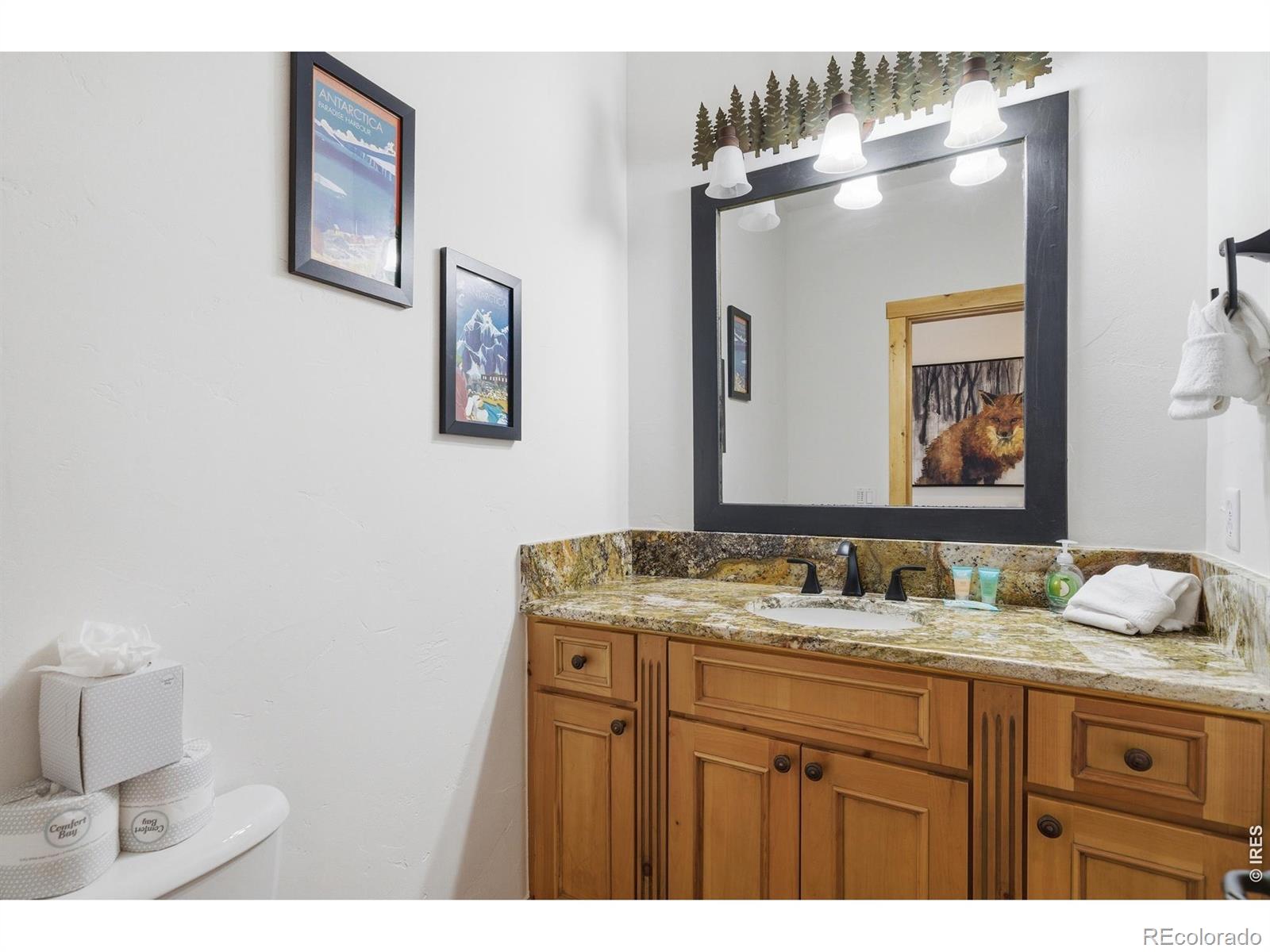 MLS Image #20 for 590  water dance drive,frisco, Colorado