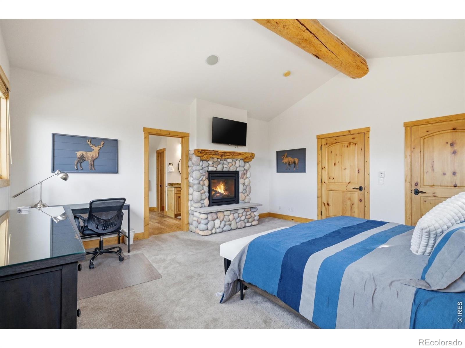 MLS Image #22 for 590  water dance drive,frisco, Colorado