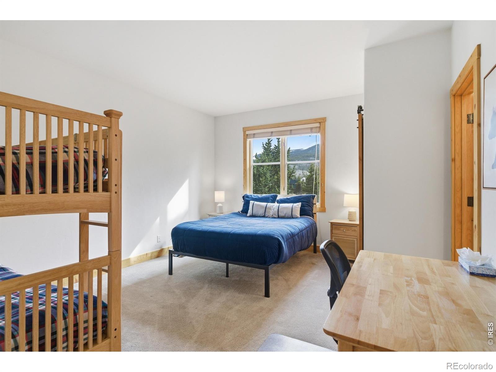 MLS Image #26 for 590  water dance drive,frisco, Colorado