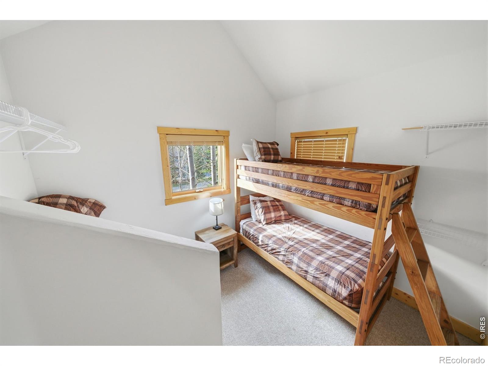 MLS Image #30 for 590  water dance drive,frisco, Colorado