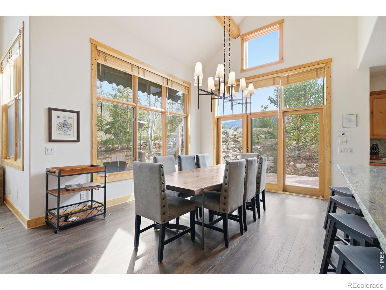 MLS Image #7 for 590  water dance drive,frisco, Colorado