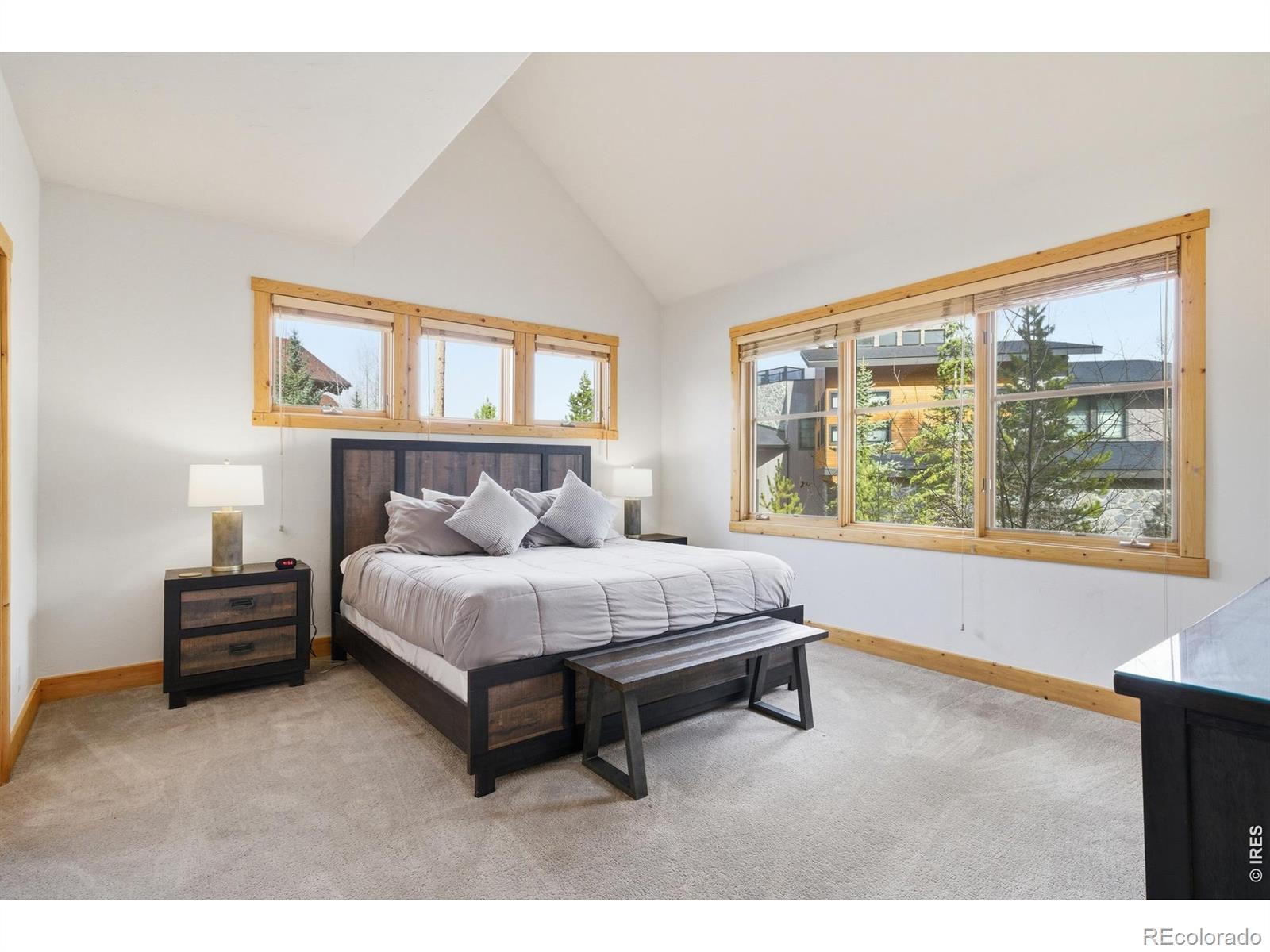 MLS Image #8 for 590  water dance drive,frisco, Colorado