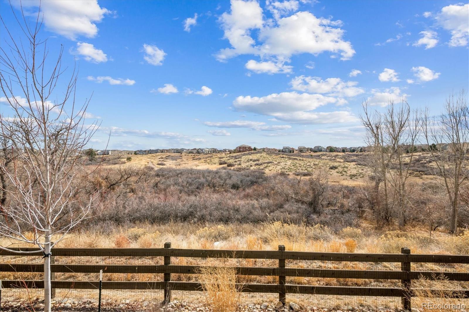 MLS Image #42 for 11585  tyrolite lane,parker, Colorado