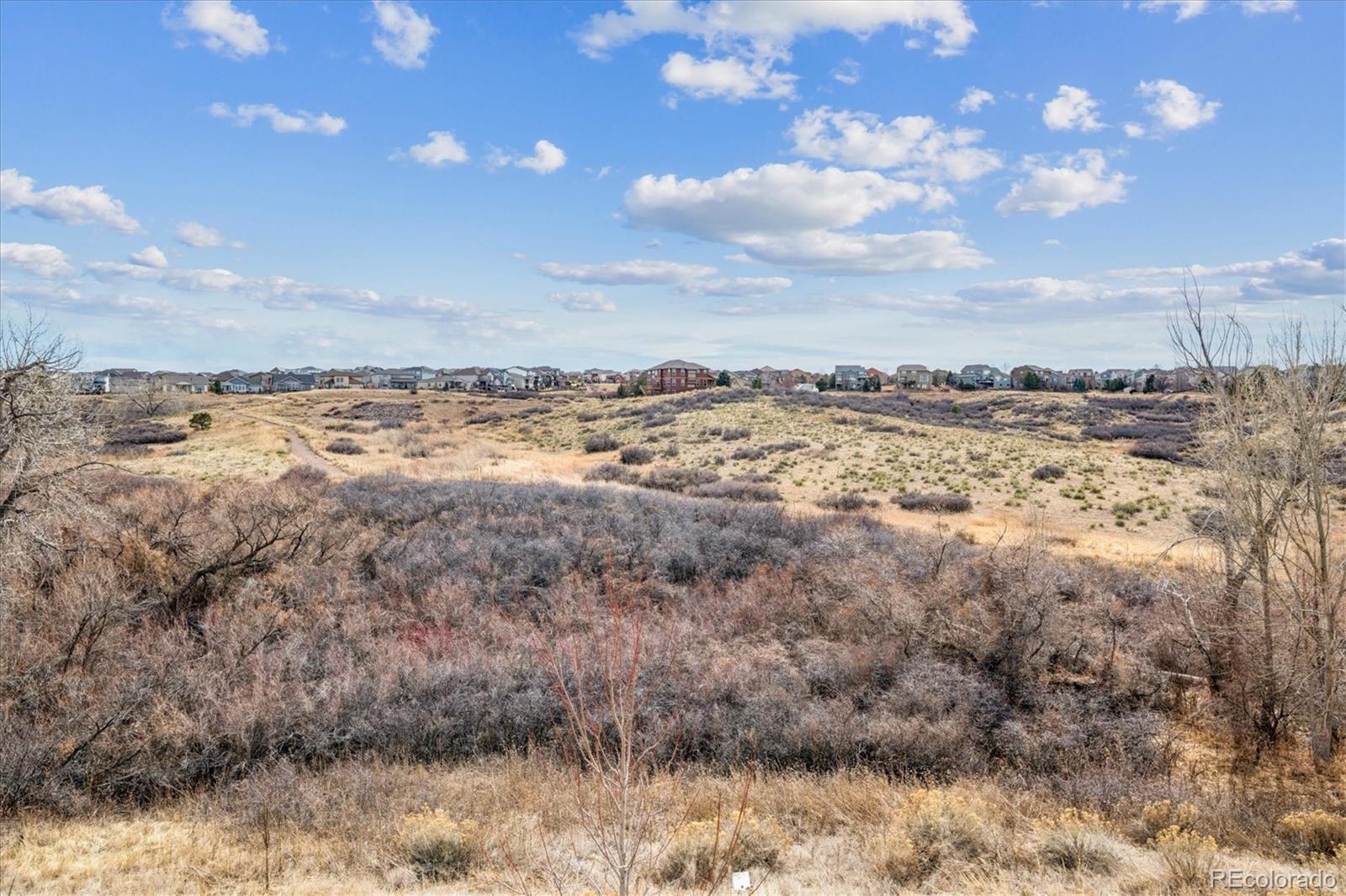 MLS Image #43 for 11585  tyrolite lane,parker, Colorado