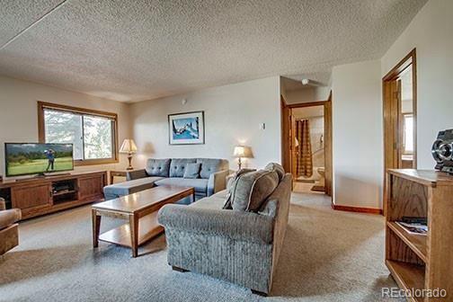 MLS Image #1 for 317 w la bonte street,dillon, Colorado