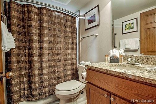 MLS Image #10 for 317 w la bonte street,dillon, Colorado