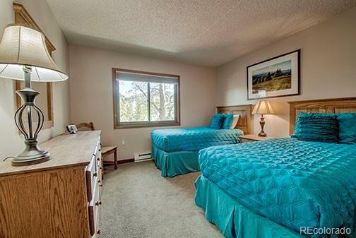 MLS Image #13 for 317 w la bonte street,dillon, Colorado