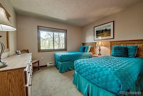 MLS Image #14 for 317 w la bonte street,dillon, Colorado
