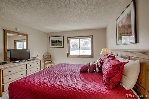 MLS Image #16 for 317 w la bonte street,dillon, Colorado
