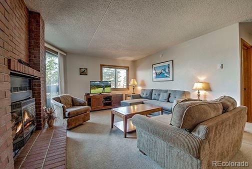 MLS Image #2 for 317 w la bonte street,dillon, Colorado