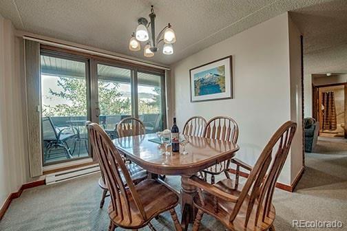 MLS Image #4 for 317 w la bonte street,dillon, Colorado