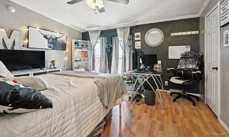 MLS Image #18 for 10025  milne road,colorado springs, Colorado