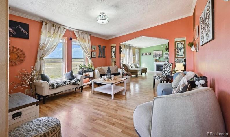 MLS Image #6 for 10025  milne road,colorado springs, Colorado