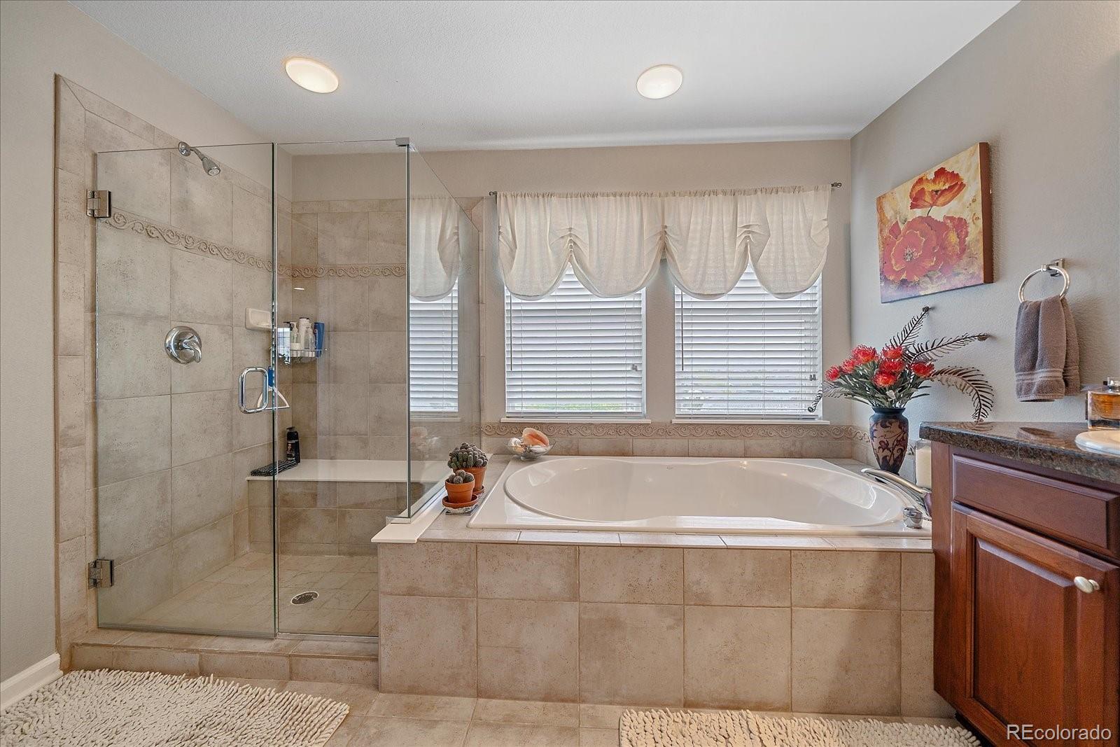 MLS Image #24 for 3007  danbury avenue,highlands ranch, Colorado