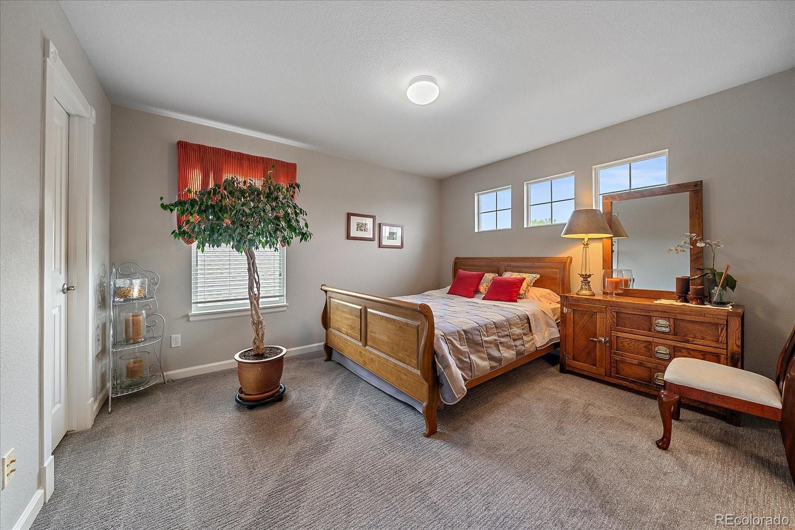 MLS Image #25 for 3007  danbury avenue,highlands ranch, Colorado