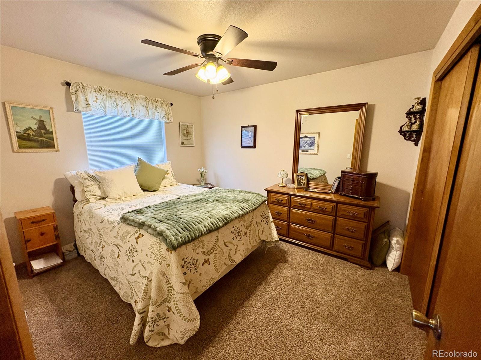 MLS Image #17 for 112  surrey street,buena vista, Colorado