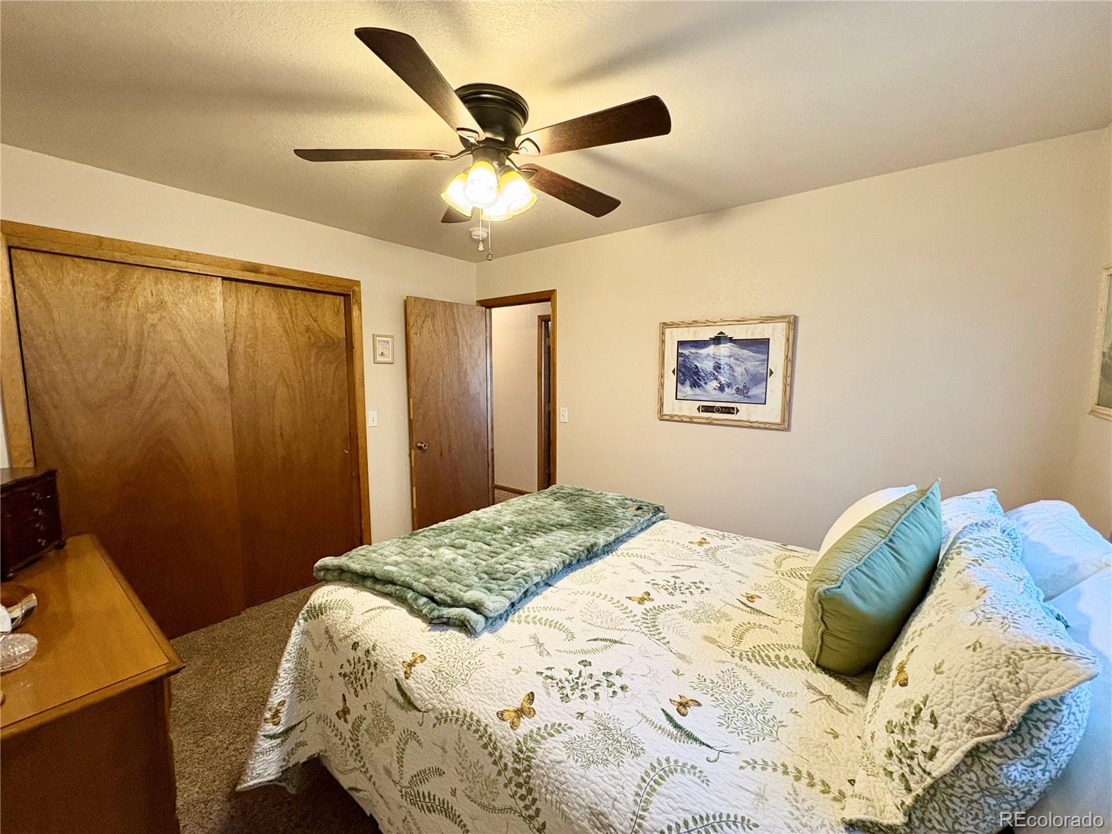 MLS Image #18 for 112  surrey street,buena vista, Colorado