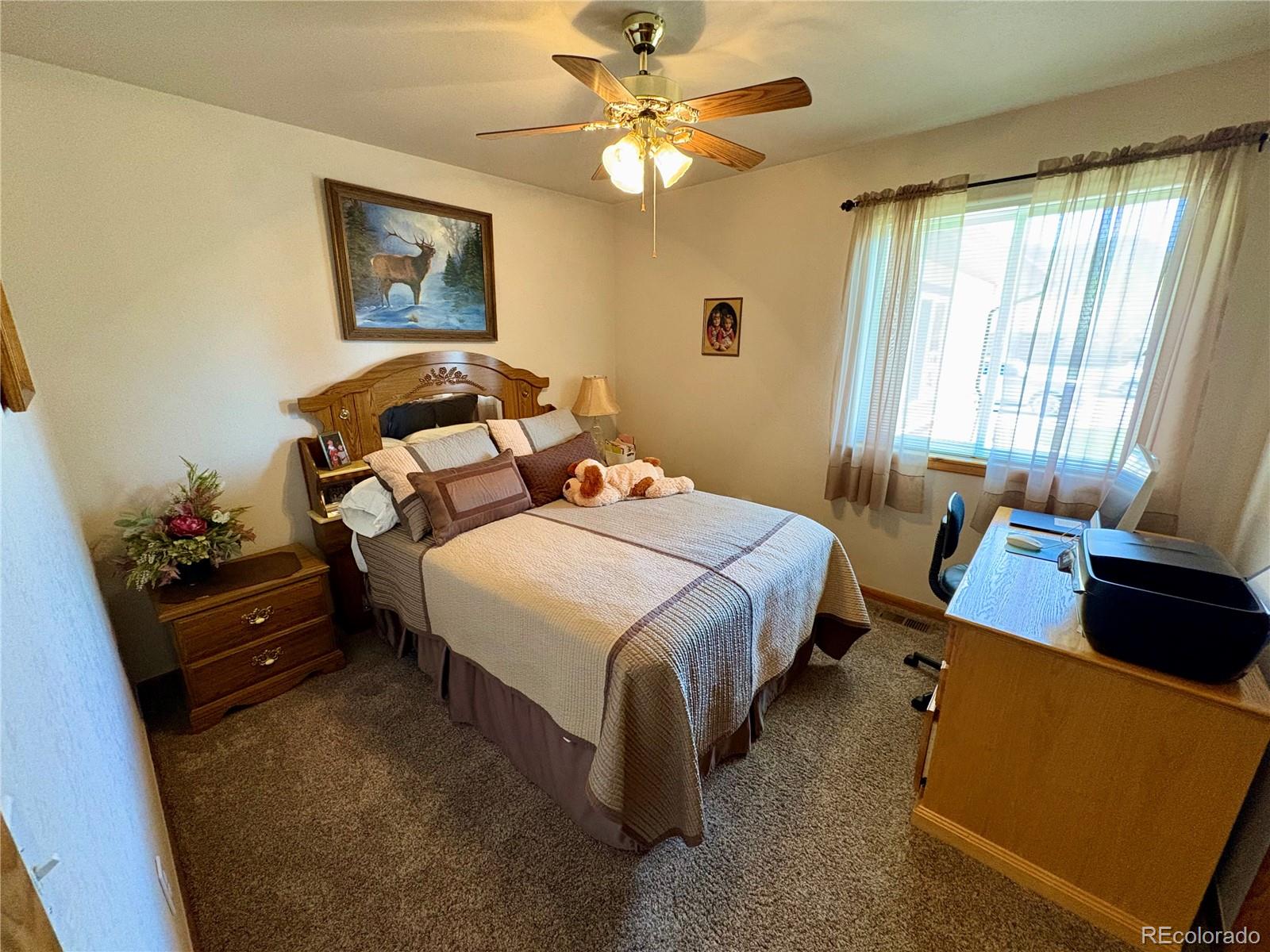 MLS Image #19 for 112  surrey street,buena vista, Colorado