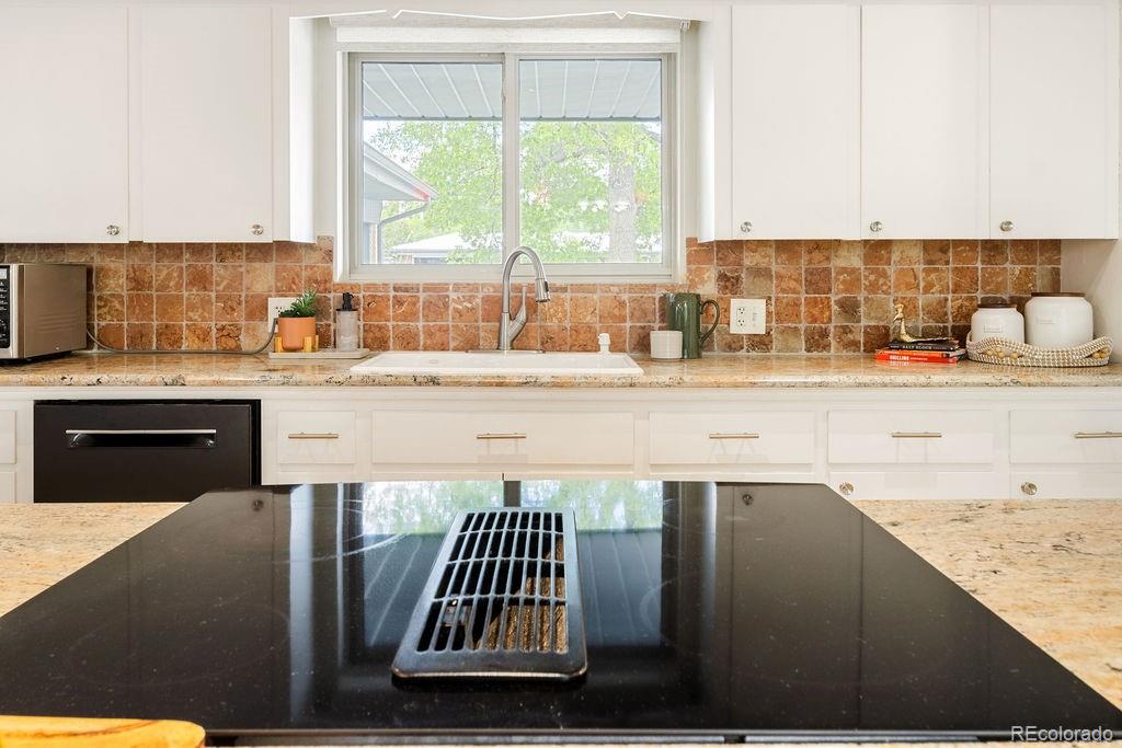 MLS Image #10 for 3110  ward court,wheat ridge, Colorado
