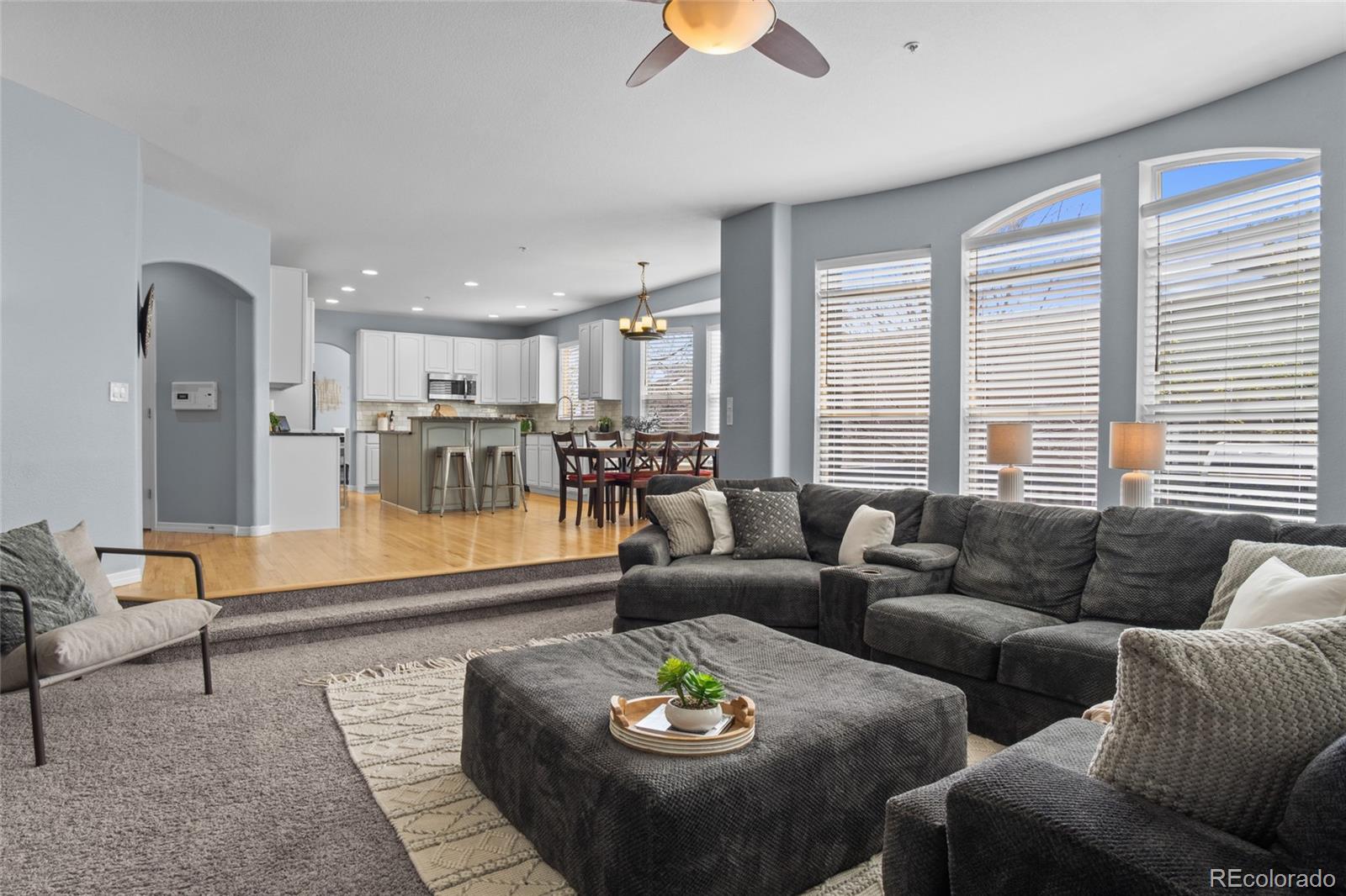 MLS Image #15 for 11446  canterberry lane,parker, Colorado